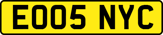 EO05NYC