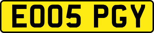 EO05PGY