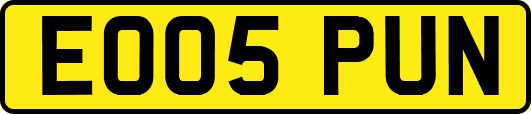 EO05PUN
