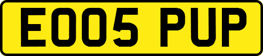EO05PUP