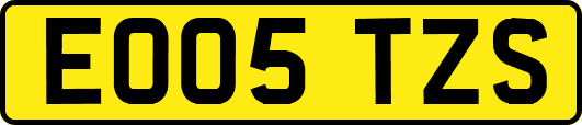 EO05TZS