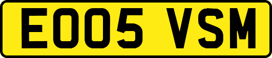 EO05VSM