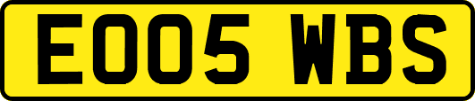 EO05WBS