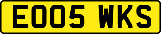 EO05WKS