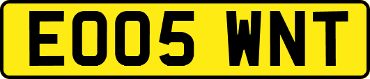 EO05WNT