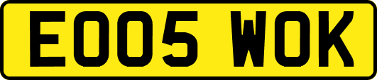EO05WOK