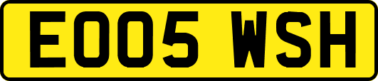 EO05WSH
