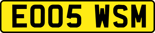 EO05WSM