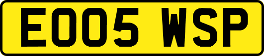 EO05WSP