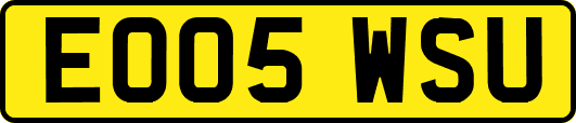 EO05WSU