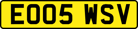 EO05WSV