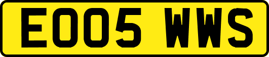 EO05WWS