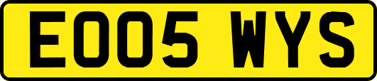 EO05WYS