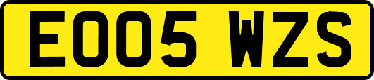 EO05WZS