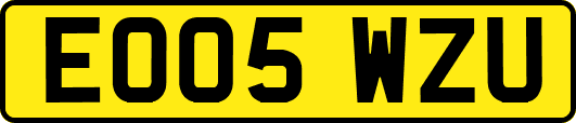 EO05WZU
