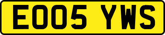 EO05YWS