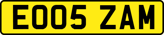 EO05ZAM