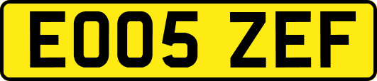 EO05ZEF