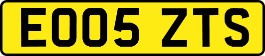 EO05ZTS