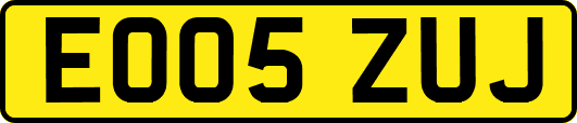 EO05ZUJ
