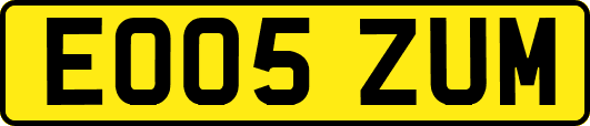 EO05ZUM