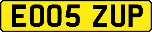 EO05ZUP
