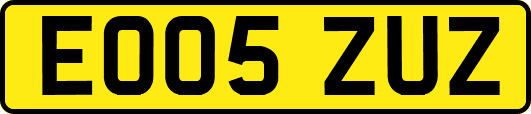 EO05ZUZ