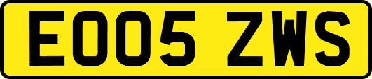 EO05ZWS