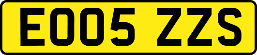 EO05ZZS