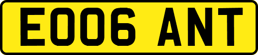 EO06ANT