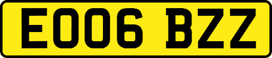 EO06BZZ