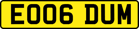 EO06DUM