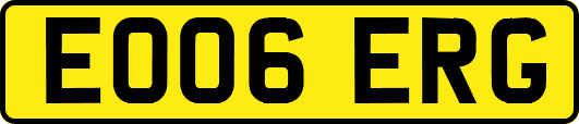 EO06ERG