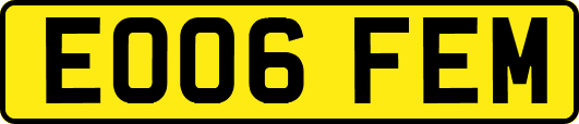 EO06FEM