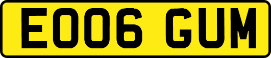 EO06GUM