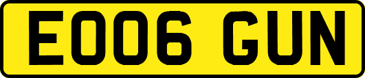 EO06GUN