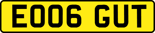 EO06GUT