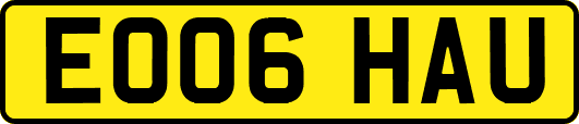 EO06HAU