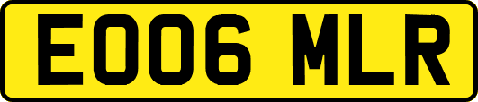 EO06MLR