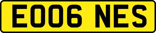 EO06NES