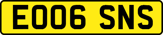 EO06SNS