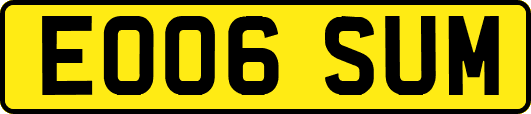 EO06SUM