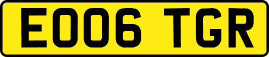 EO06TGR