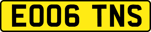 EO06TNS