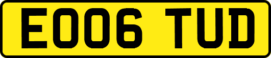 EO06TUD