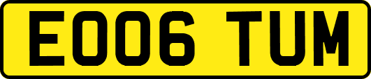 EO06TUM