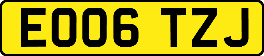 EO06TZJ