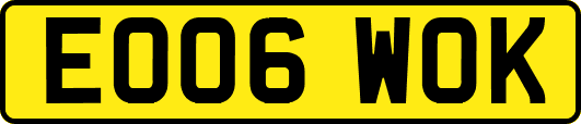 EO06WOK