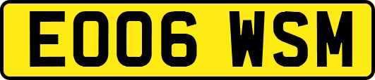EO06WSM
