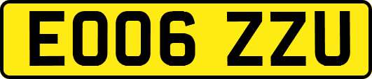 EO06ZZU